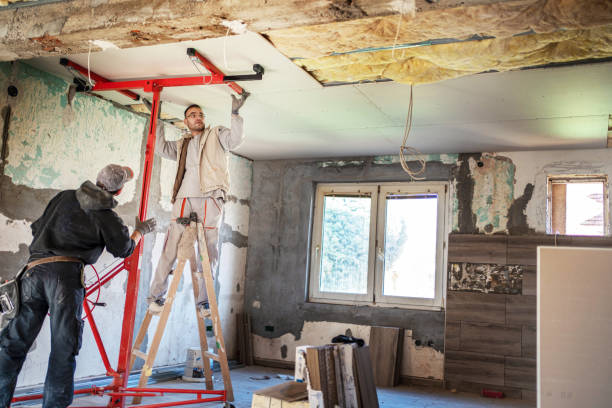 Best Geographic-Specific Insulation Services in Hudson, MI