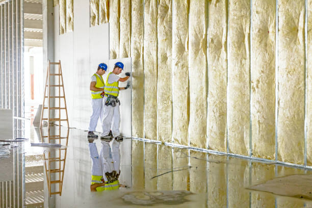 Best DIY Insulation Kits and Guidance in Hudson, MI